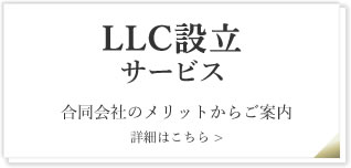 LLC設立サービス　合同会社のメリットからご案内